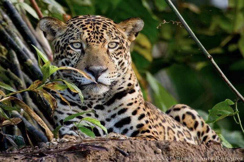 peru travel agency